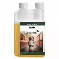 Glücklicher Hund im Herbst – Stärkung für Immunsystem & Fellwechsel