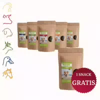 Tjure Hund Snack Box All in One 6 X 150 g