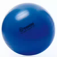 Togu Powerball Premium Abs Aktiv&gesund 65 cm