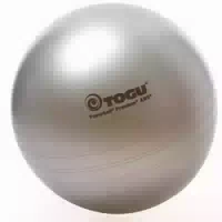 Togu Powerball Premium Abs Aktiv&gesund 65 cm