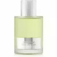 Tom Ford Beau De Jour Eau De Parfum
