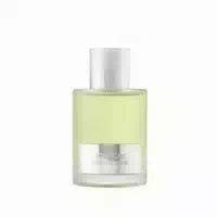 Tom Ford Beau De Jour Eau De Parfum Signature Beau De Jour 100 Ml