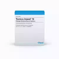 Circulo Injeel N Ampullen 10 St Ampullen