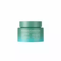 Tonymoly Houttuynia Cordata Cica Cooling Watery Cream 100ml
