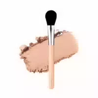 The Tool Lab 157 Light Touch Blusher 1ea