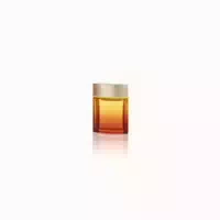 Tous Man Spritz Edt Vapo 100 ml 0,1 l