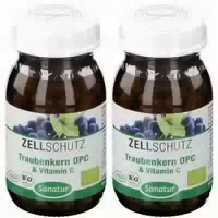 Opc Traubenkern & Vitamin C Kapseln 90 st Kapseln