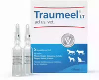 Traumeel Lt Ad Us Vet Ampullen Tierarznei 5x5 ml