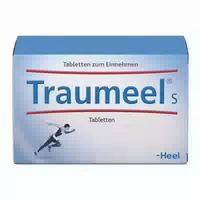 Traumeel S Tabletten 250 St
