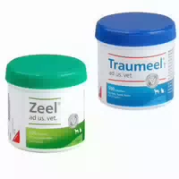 Traumeel T Ad Us Vet Tierarznei 100 st