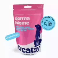 Treatsy – Dermabiome Supplement gegen Allergien, Juckreiz & für das Immunsystem Beim Hund 180 g