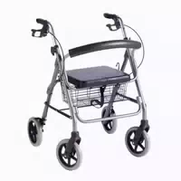 Trendmobil Rollator Premium Lr 56 Modell Komfort M Silber 1 St