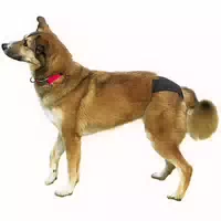 Trixie Schutzhösschen S Schwarz