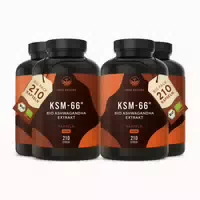 Bio Ashwagandha Ksm 66 Hochdosiert – Premium Markenrohstoff 420 st