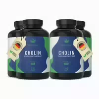 Cholinbitartrat Cholin Hochdosiert 3 Monate Vorrat 270 st