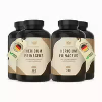 Hericium Erinaceus Lions Mane Kapseln Vegan Made in De 2x360 st