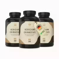 Hericium Erinaceus Lions Mane Kapseln Vegan Made in De 360 st