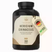 Hericium Erinaceus Lions Mane Kapseln Vegan Made in De 360 st