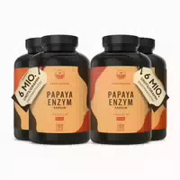 Bio Löwenzahn Kapseln Vegan Made in Germany 720 st