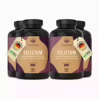 Bio Löwenzahn Kapseln Vegan Made in Germany 720 st