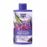 Reinigendes Mizellen Shampoo