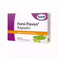 Femi Flavon Kapseln 90 St Kapseln