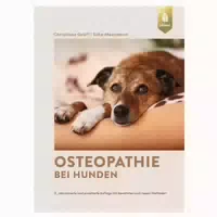 Osteopathie Bei Hunden