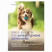 Spiele und Action für Jagdhunde