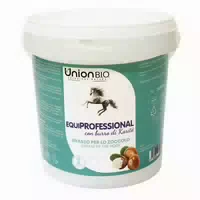 Union B I O Equiprofessional