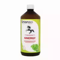 Union B I O Synergy