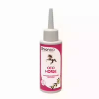 Union B I O Oto Horse