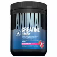 Animal Creatine Hmb 330g Dragon Berry