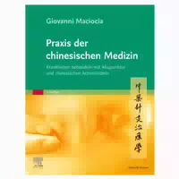 Praxis Der Chinesischen Medizin 1 St