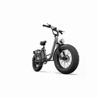 Urlife E20 Pro E Bike Mit 48v 15,6ah Akku, Lcd Display Und Gepäckträger