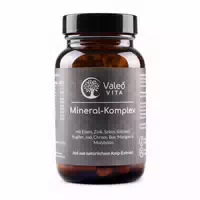 Valeo Vita Mineral Komplex Allnone 90 st