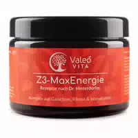 Valeo Vita Z3 Maxenergie Zellnahrung gegen Heißhunger 300 g