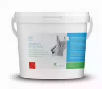 Valetumed Prebiotic Intestinum