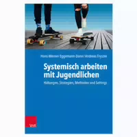 Systemisch Arbeiten Mit Jugendlichen 1 St