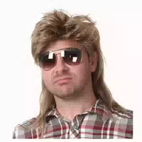 Herren Perücke Hellbraun Vokuhila 80er Mullet Lang Synthetis 1 st