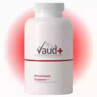 Vaud Movement Support Grünlippmuschel, Curcumin & Kollagen Typ 2 Beweglichkeit Kapseln 90 St