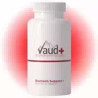Vaud Stomach Support | Flohsamenschalen Kapseln | Psyllium Fiber für Verdauung & Darmgesundheit