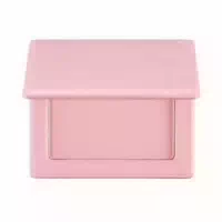 Vdl Cheekstain Blusher 6g 12 Its Guava