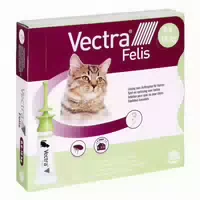Vectra Felis Lösung gegen Flöhe & Zecken für Katzen