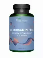 Vegavero Glucosamin Plus