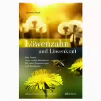 Löwenzahn Und Löwenkraft