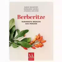 Berberitze 1 St