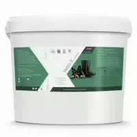 1300 g