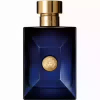 Versace Dylan Blue Eau De Toilette 100ml