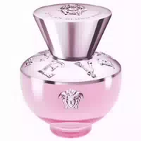 Versace Dylan Blush Pink Eau De Parfum Edp 30 ml
