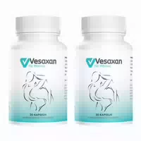 Vesaxan für Männer | Vitalität & Performance | ohne Chemie | Hochdosiert